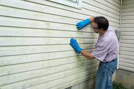 Best Aluminum Siding Installation  in Bladenboro, NC